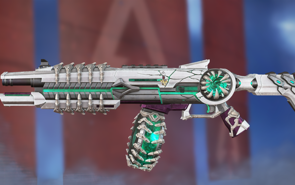 门虎在比赛 门虎在比赛