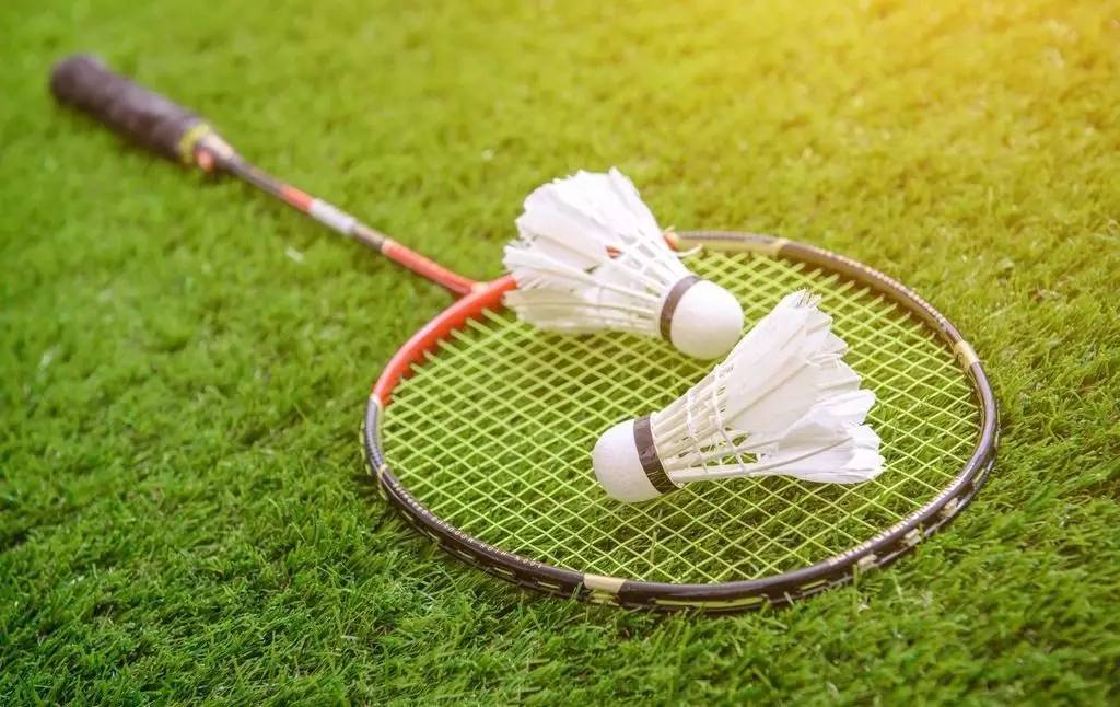 启示与前景 启示与前景